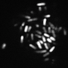 dynamic gaussian blur